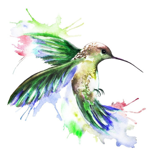 Colibrí Colores Acuarela Con Marco Cuadro Canvas Decorativo