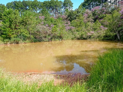 Imagem 12 de 14 de Terreno A Venda No Bairro Ponte Alta - Atibaia, Sp - 304