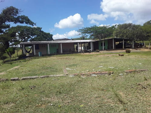 Imagen 1 de 30 de Se Vende Finca Agropecuaria De 300 Hectareas En Guarico Altagracia De Orituco Att-120