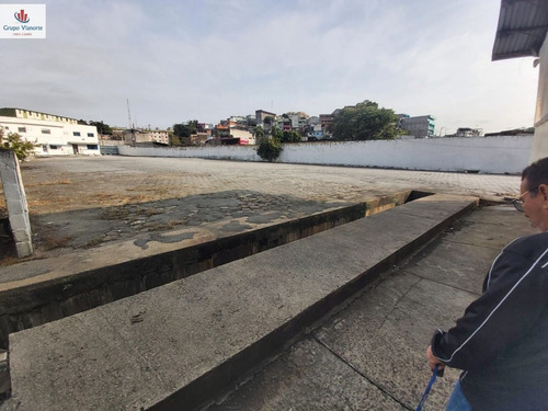 Imagem 3 de 30 de Terreno Para Alugar No Bairro Jardim Peri Em São Paulo - - A-n248-2