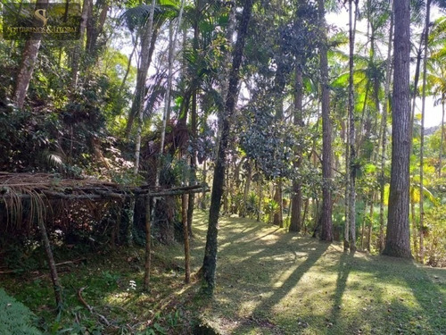 Imagem 15 de 30 de Sítio Em Quatinga - Mogi Das Cruzes -sp