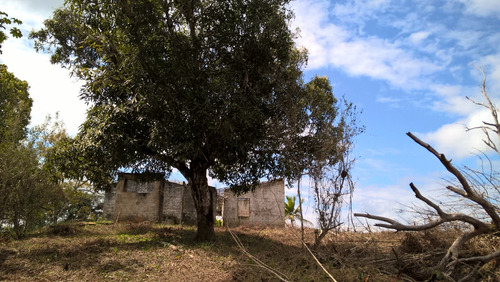 Fazenda 34 Hec. À Venda Em Taperoá-bahia
