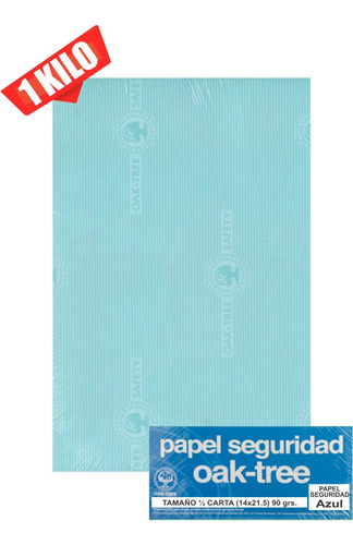 Papel Seguridad Para Recetas Azul 90 Grs. 2 Blocks      