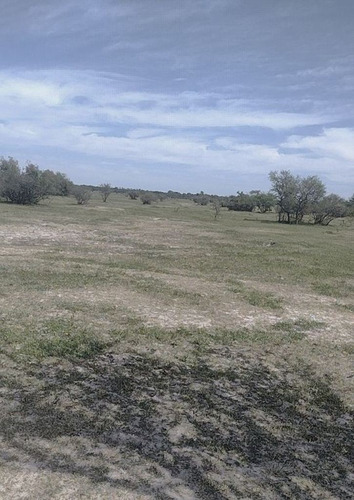 Imagen 10 de 10 de Se Vende Campo De 65 Hectareas En Rosario Del Tala, Entre Rios