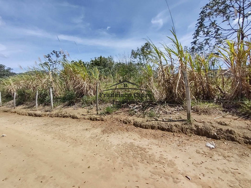 Imagem 17 de 19 de Terreno À Venda No Bairro Pilões - Guaratinguetá/sp - Tr010-1