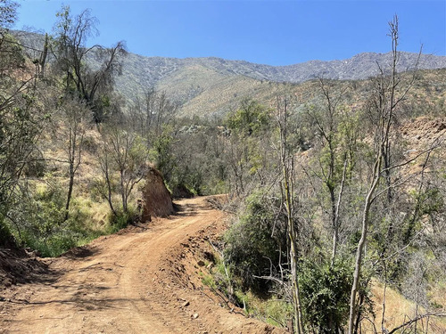 Sitio En Venta En Curacaví