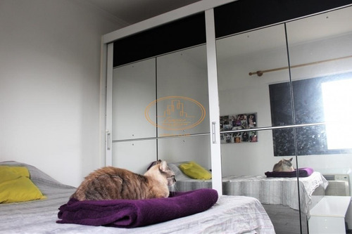 Apartamento Com 2 Dormitório(s) Localizado(a) No Bairro Vila Mathias Em Santos / Santos - 6243