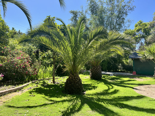Casa Con Parque Y Piscina Calera De Tango