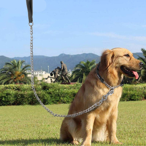 Resistant Metal Corre For Dogs, 6 Pies X 3 Mm, A...