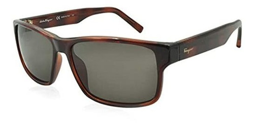 Ferragamo Sf960s Unisex Sunglasses Tortoise, 87mro