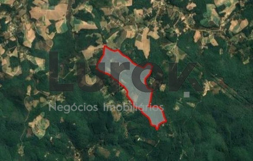 Imagem 5 de 6 de Terreno À Venda Em Centro - Te006103
