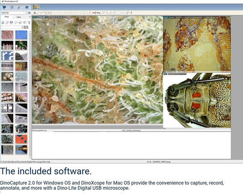 Dino-lite, Microscopio Digital (usb 2.0) Ampliación 10x 200x