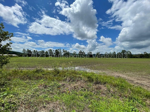 Carlos Colmenarez Felx 23-33543 Vende Finca Con 10 Hectareas Y 4.642 Mts Pozo Profundo De 80 Metros, Bomba De 14 Hp Luz Trifasica Laguna De 50 Por 40 Metros Cochinera De 30 Corrales