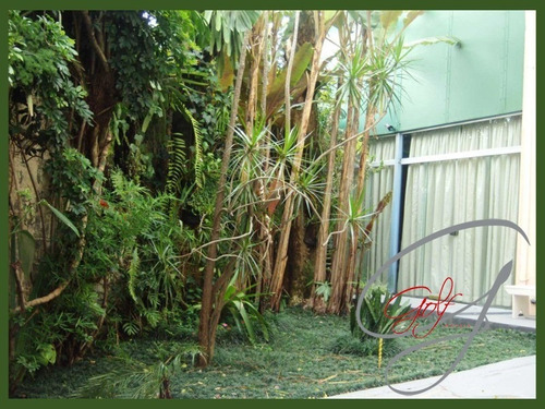 Imagem 16 de 18 de Casa Comercial Para Venda Ou Locação No Pq Continental E Jaguaré - Ca00487 - 68738531