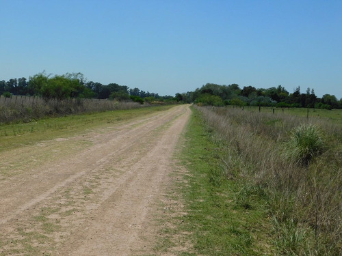 Imagen 3 de 3 de Lote De Terreno En Venta En Chascomus