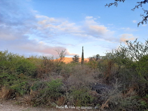 Barrio Santa Isabel, Charbonier (capilla Del Monte) Venta De 2 Lotes De 800 M² Con Escritura