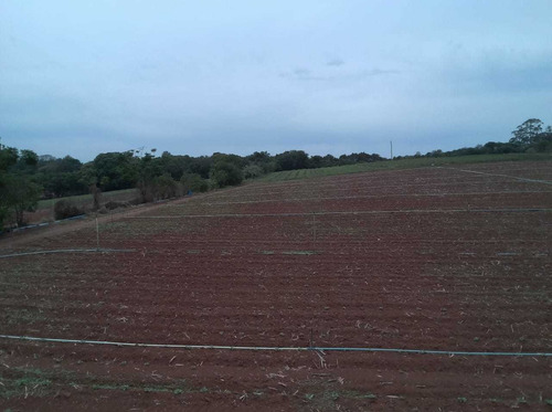 Imagem 7 de 14 de N31- Atibaia Terrenos Plano