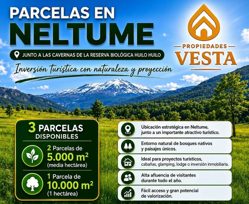 Parcelas En Neltume - Propiedades Vesta