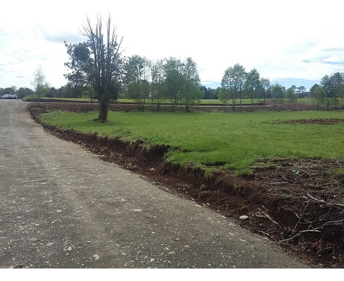 Parcela 5000 M2 Lago Ranco