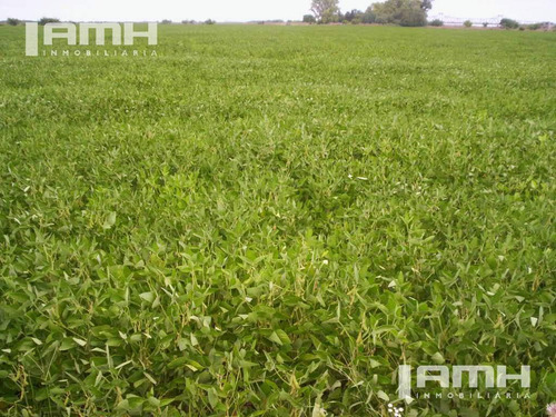 Campo - General Madariaga Campo En Venta 90 Hectáreas Gral Madariaga