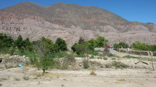 Purmamarca Terrenos Y Fincas
