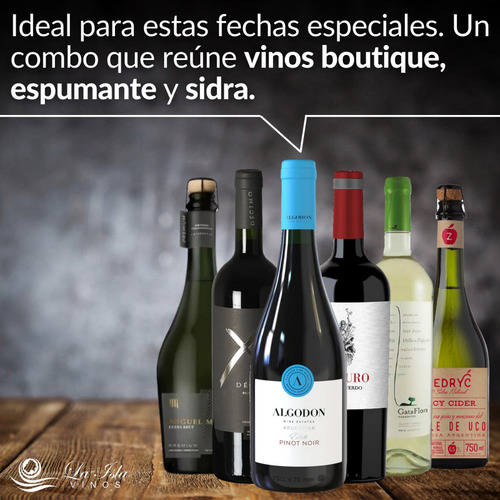 Vino Boutique Mix + Espumante Sidra. Caja Full 6 Botellas --