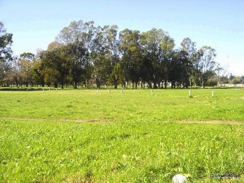 Imagen 4 de 7 de Lote En Venta En Merlo Norte