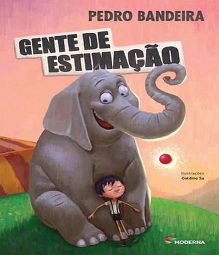 Livro Gente De Estimacao