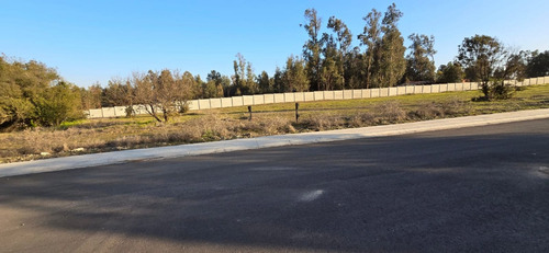 Las Gaviotas Quintero, A 4k De Rotonda Concón, Urbanizado