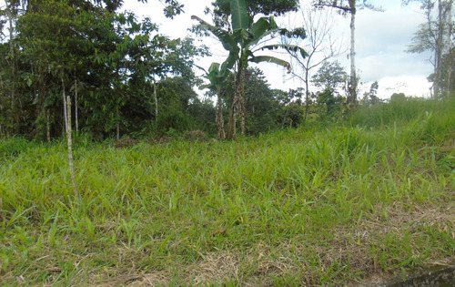 De Oportunidad: Hermoso Lote A La Vía De Ganaderos Orenses, San Miguel De Los Bancos