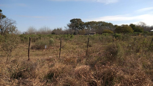 Imagen 3 de 3 de Terreno - Gualeguay