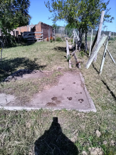 Campo De 397 Has - Maldonado, Aiguá