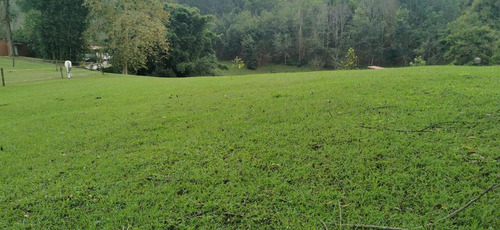Imagen 11 de 22 de Terreno - Cuauhtémoc