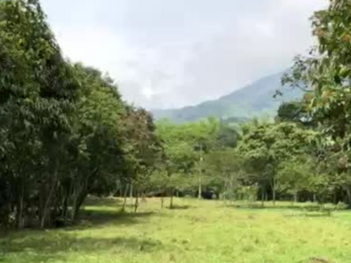 Lote En Parcelación En Popalito Barbosa Antioquia 19.200 M² 