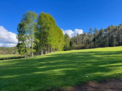 Parcelas Villarrica Luz Agua