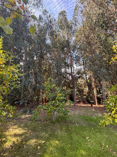 Parcela En Venta En Pencahue