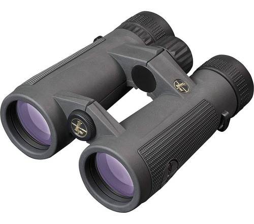 Binocular Leupold Bx-5 Santiam Hd, 10x42/gris