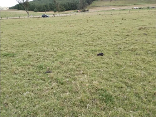 Venta De Lote Vereda Forantiva Oicata