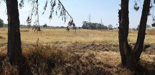 Imagen 6 de 8 de Terreno Urbano En Venta En San Diego / Texcoco (méxico)