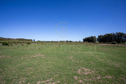 Imagen 19 de 27 de Descubre Una Propiedad Única En El Colorado, Canelones: 2 Casas, 4 Ha Y Galpón