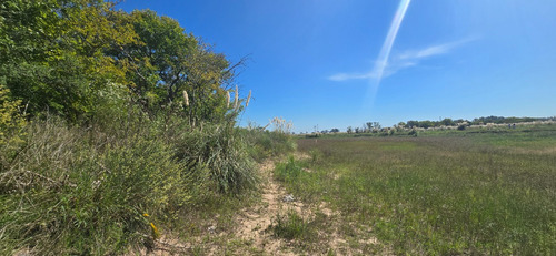 Campo Estrategico De 51 Hectareas Sobre Calle Perimetral De Country La Providencia Canning.