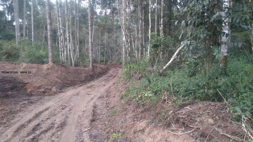 Imagem 5 de 15 de Chácara Para Venda Em Campina Grande Do Sul, Imbuial - 00292_2-1224372
