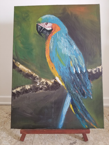 Cuadro Guacamayo Oleo Sobre Tela Brasil 50x70 Con Bastidor