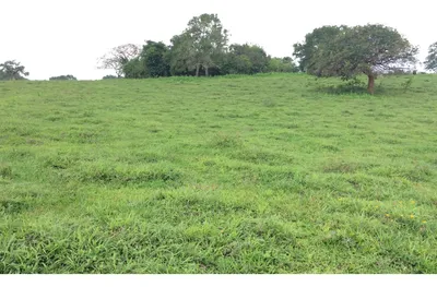 Rancho en venta