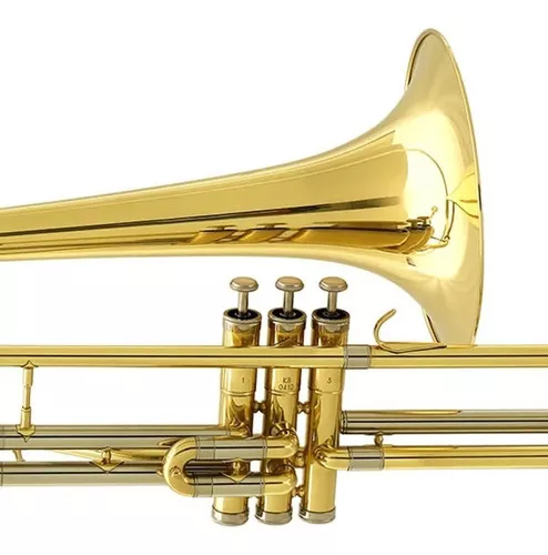 Segunda imagem para pesquisa de trombone sib pisto