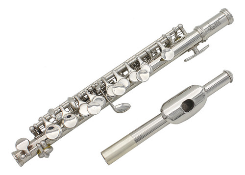 Piccolo Slade Silver En Cmajor De 16 Agujeros Con Cuerpo De