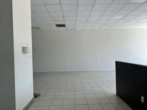 En Renta Local Comercial En Av Palmas 239, Lomas De Chapultepec, Cdmx - Pg