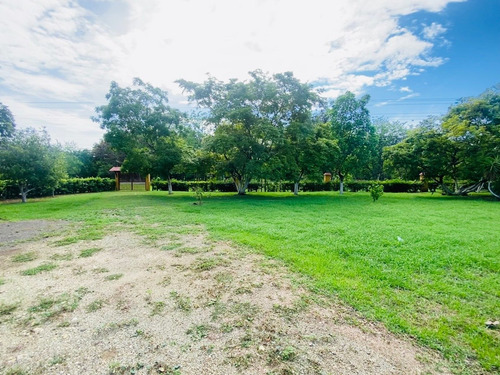 Imagen 9 de 15 de Property For Sale!!! 20 Hectareas
