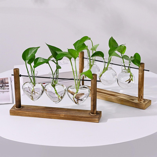 Estación De Propagación De Terrario Plant 30x16 Cm Para El