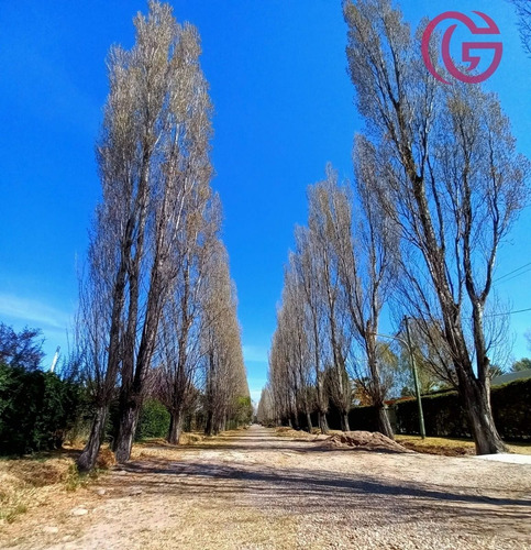 Imagen 9 de 12 de Greenwood Inmobiliaria Vende Ultimo Lote Disponible En Barrio Rincon Cepas De Malbec - Vistalba
